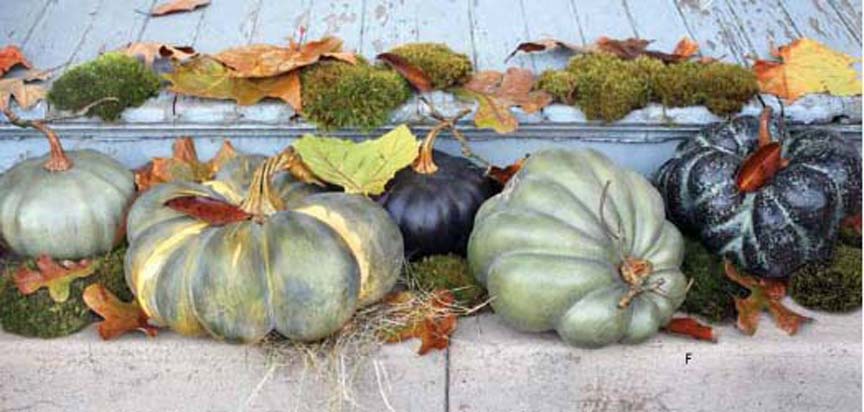 Faux Green Heirloom Pumpkins