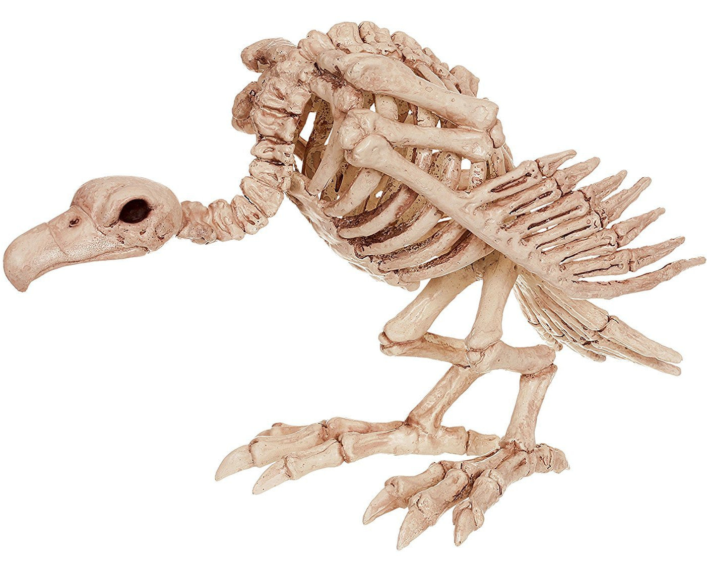 Vulture Skeleton Figure