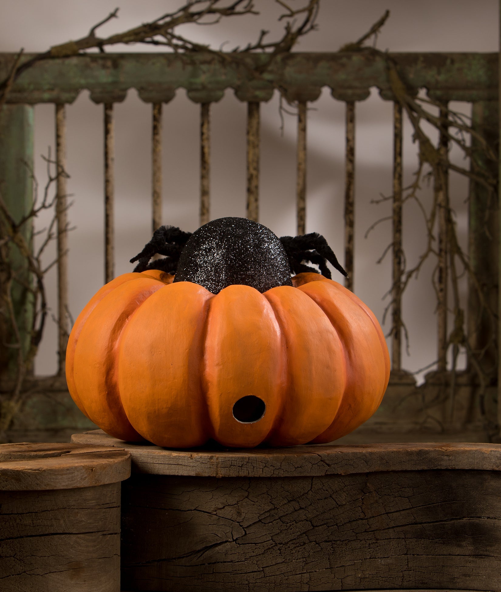 Spider on Pumpkin Jack-O-Lantern
